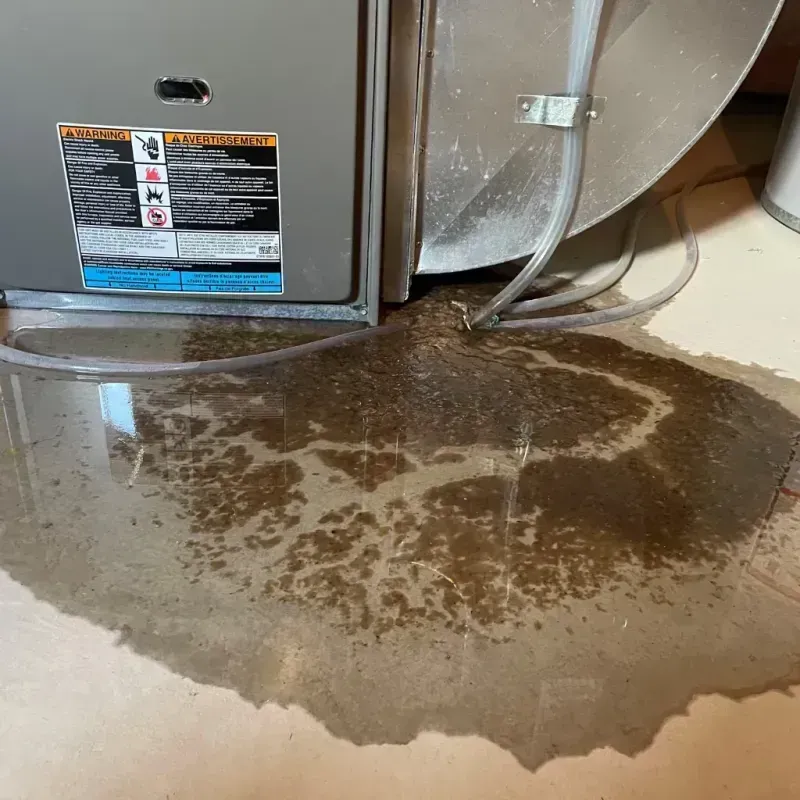 Appliance Leak Cleanup in Pulaski County, VA